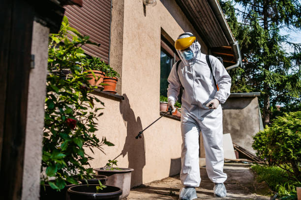Best Wildlife Control Services  in Wellsburg, WV