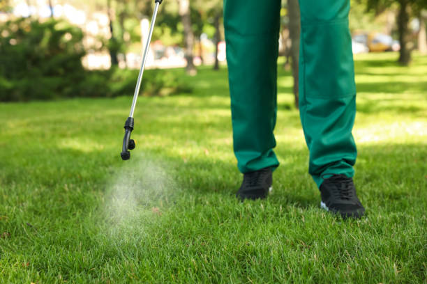 Best Pest Prevention Services  in Wellsburg, WV