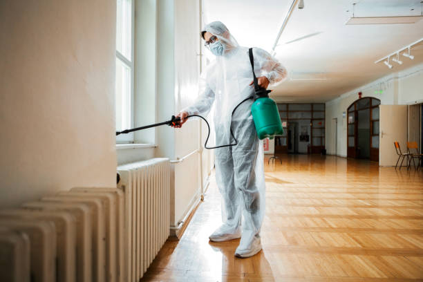 Best Local Pest Control Services  in Wellsburg, WV