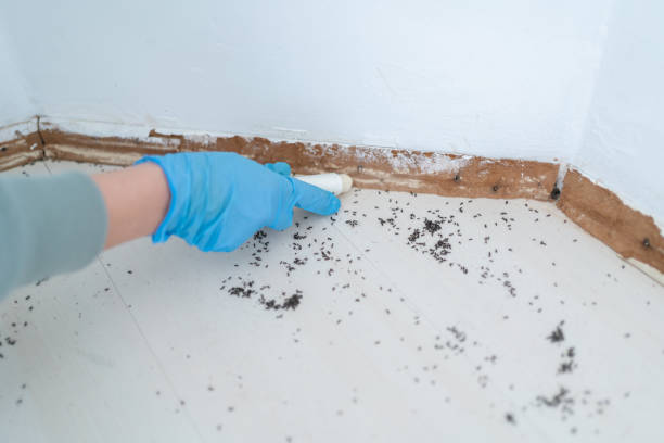 Wellsburg, WV Pest Control Company