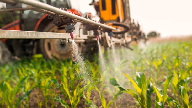 Best Local Pest Control Services  in Wellsburg, WV